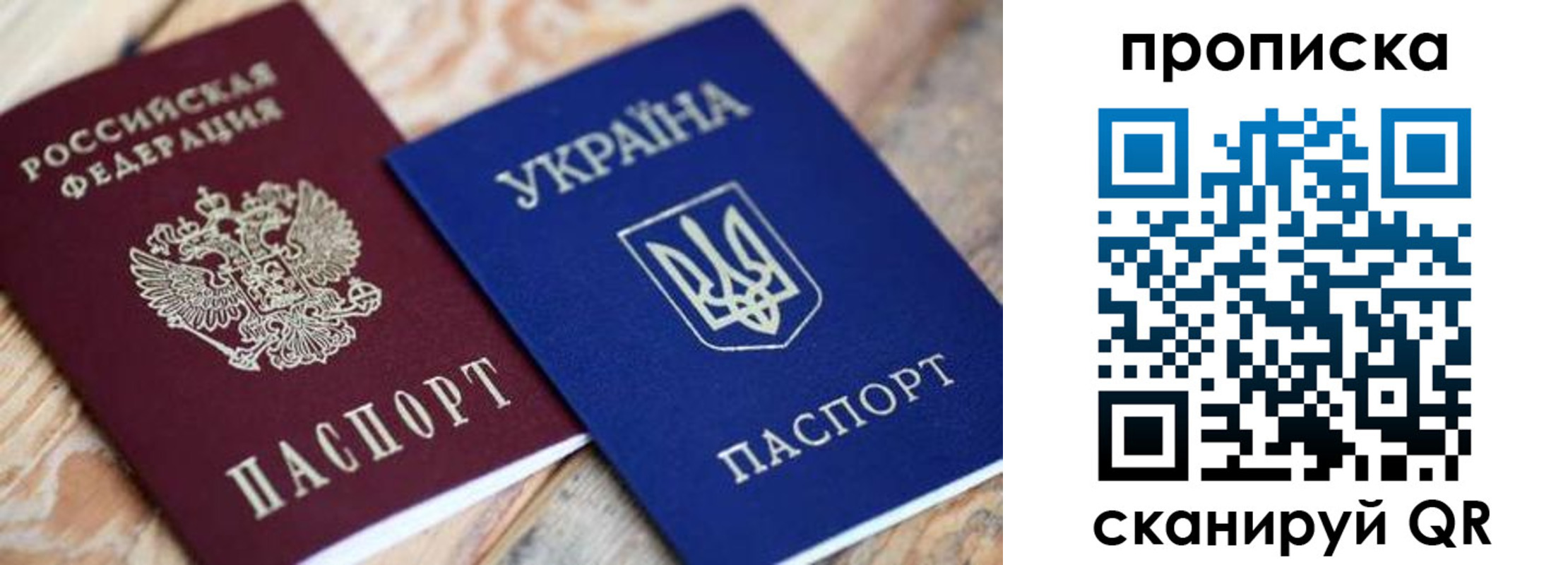 прописка поиск в Фролово